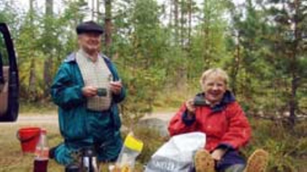 Liisa Puronaho, Kajaani