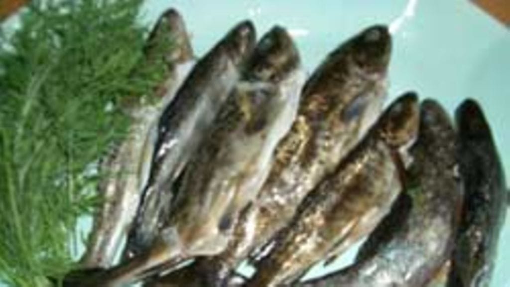 Raija Saariniemi-Kauppila, Oulu