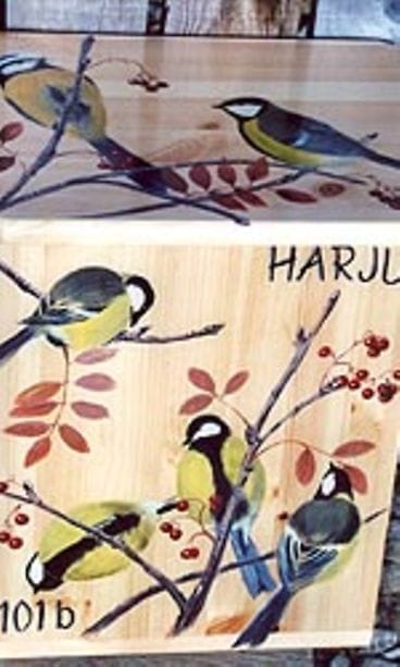 Kuva: Terttu Harju