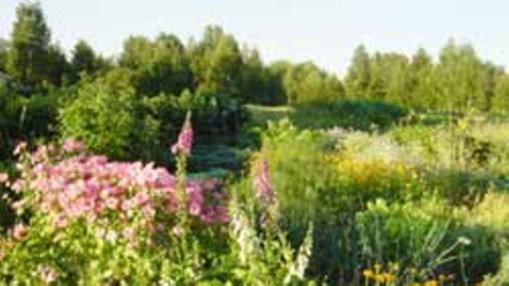 Leena Pussinen, Joensuu