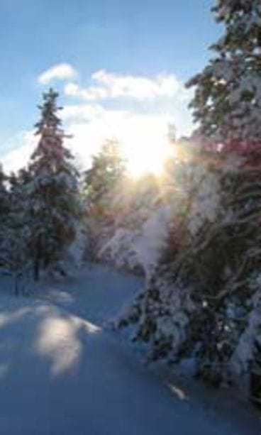 Leena Niemimäki, Helsinki