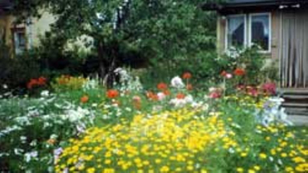 Ann-Marie Kari, Tampere