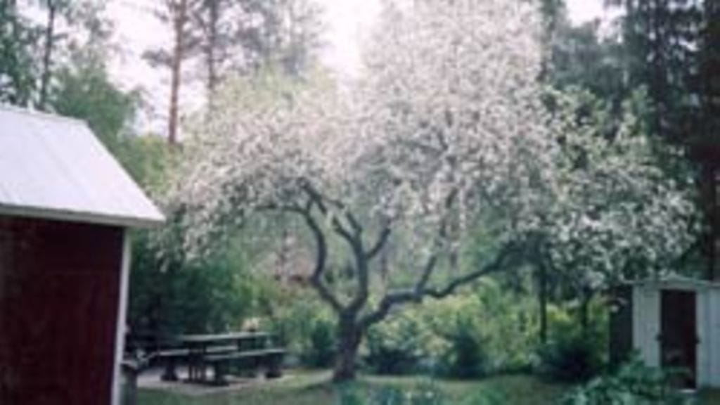 Maija-Liisa Lintunen, Hämeenlinna