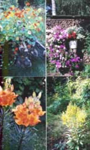 Teuvo Tuominen, Padasjoki