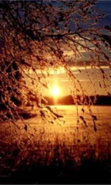 Sisko Jalo, Rautalampi