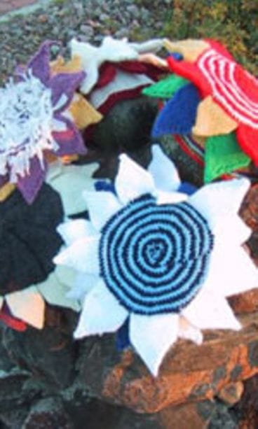 Silja Kauppi, Pyhäjoki