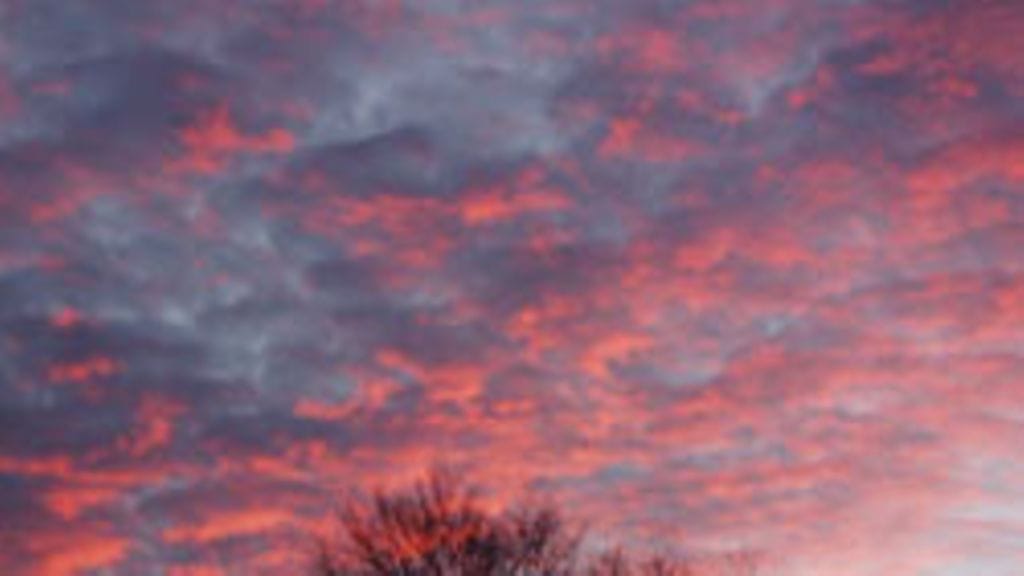 Tiina Länkelin, Helsinki