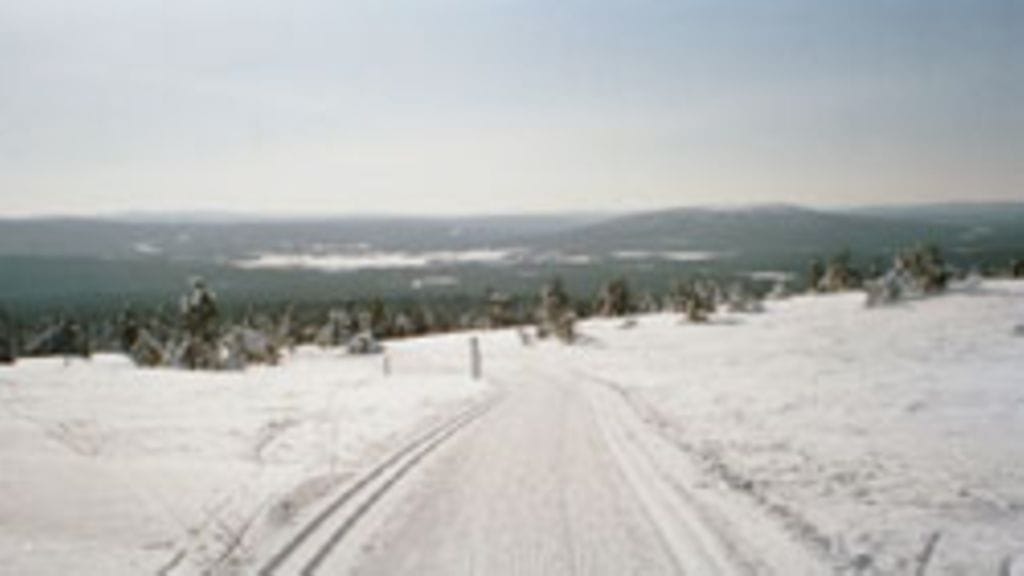 Riitta Kankkunen, Joensuu