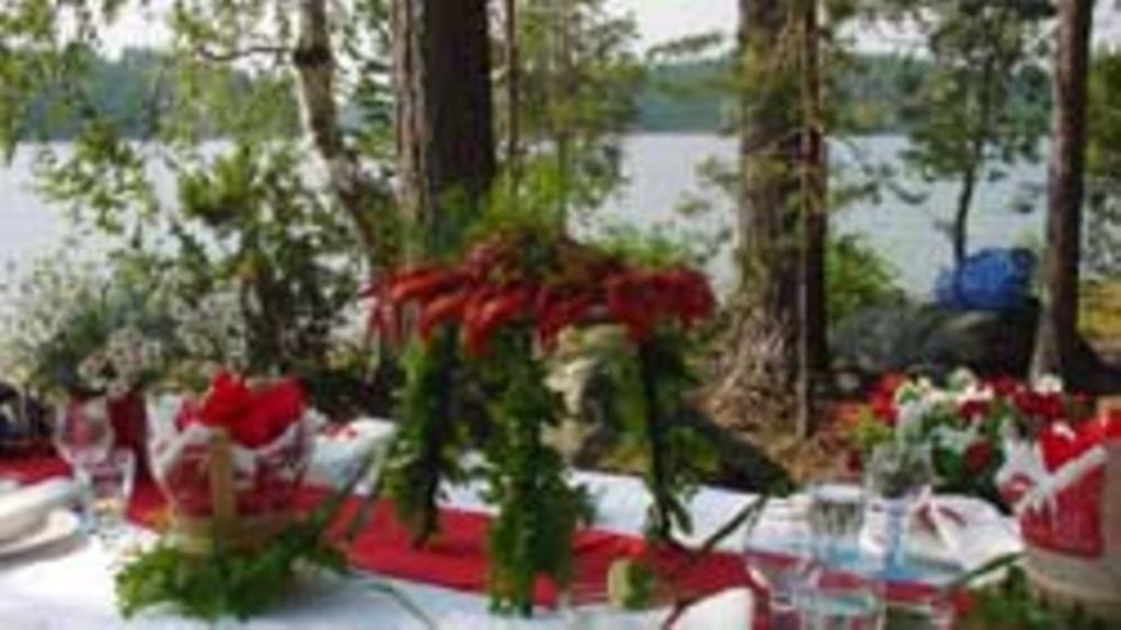 Terrru Uotila, Kaivanto