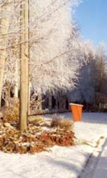 kuva: Hilkka Kilpeläinen