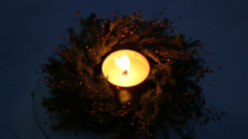 Eeva Reijonen, Polvijärvi