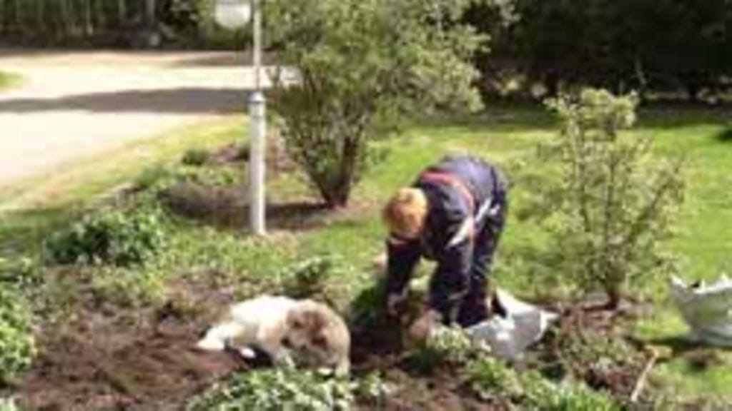 Helena Kettunen, Hukkala