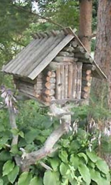 kuva: Raimo Heikkilä