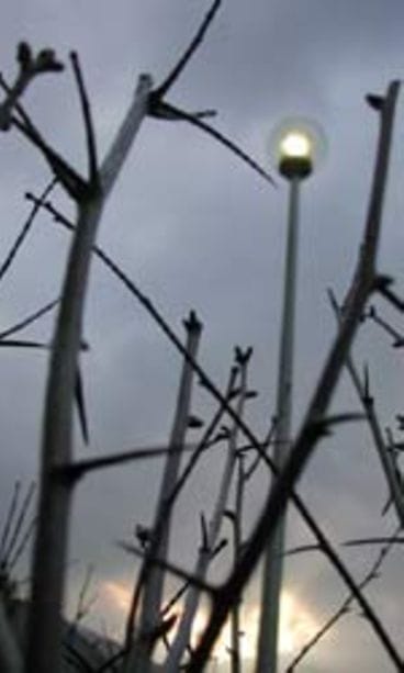 Päivi Korpela, Nopankylä