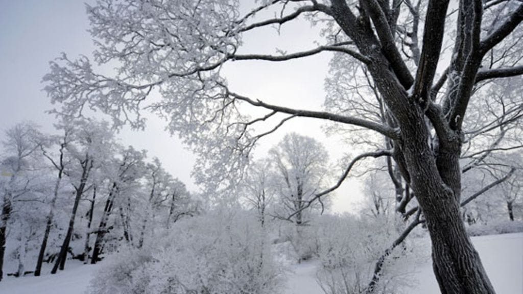 Ulkoilu antaa monelle energiaa talvellakin.