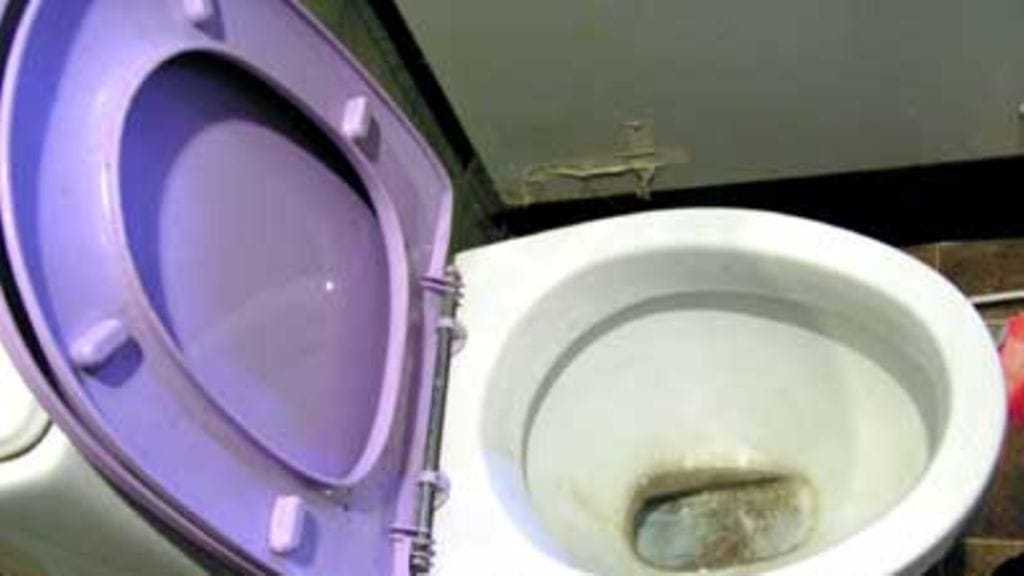 Sillä Siisti 20.10.2006