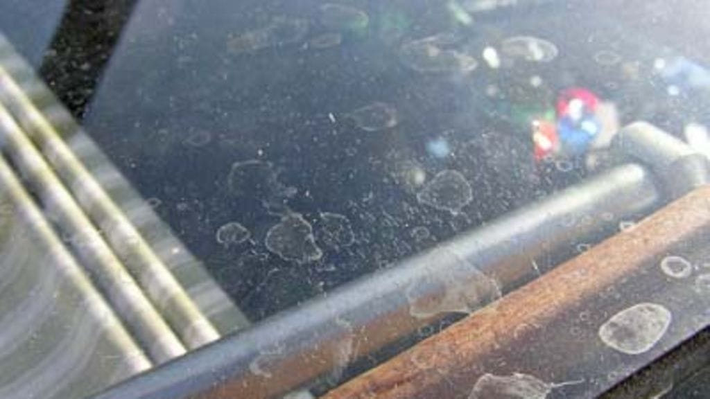 Sillä siisti 17.11.2006