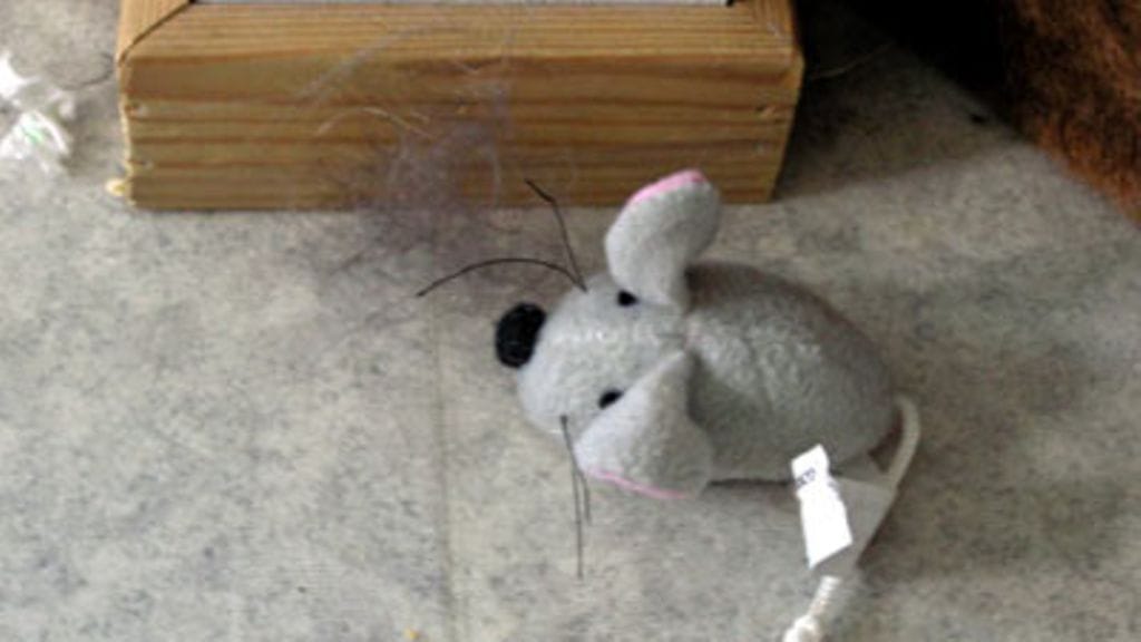 Sillä siisti 1.12.2006