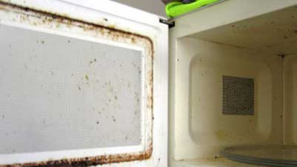 Kaupunkilaisperhe, mikro ennen