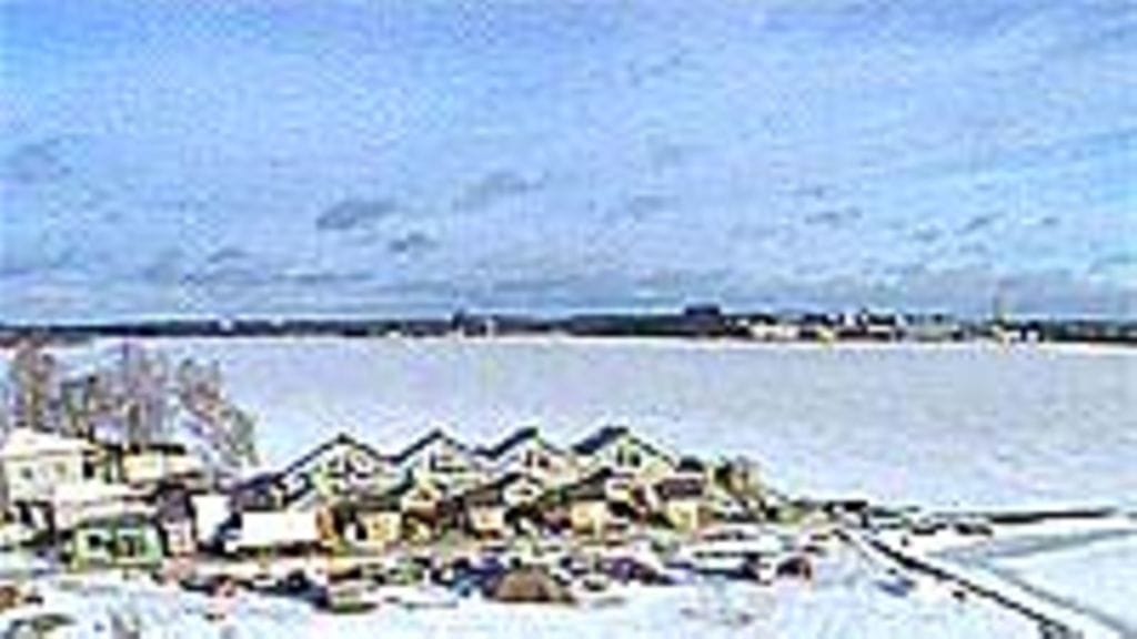 Hirssaari talvella