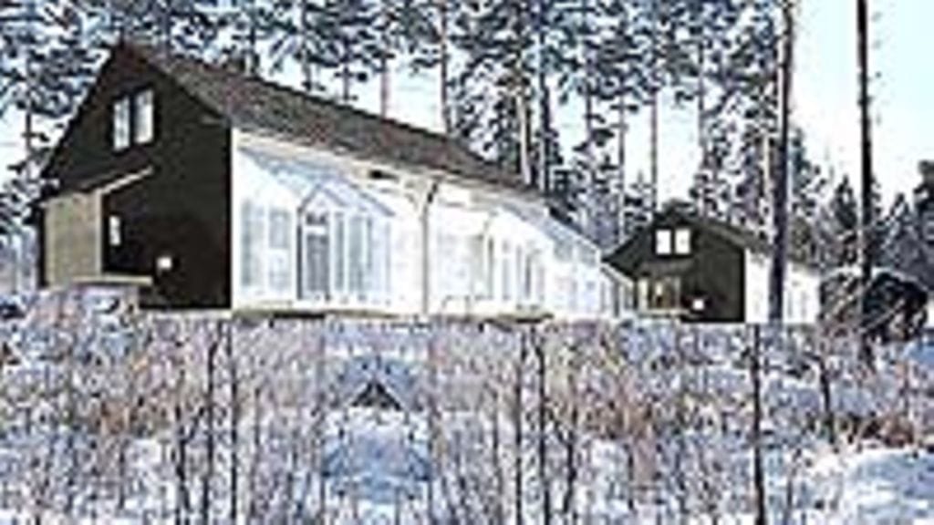 Hirssaari