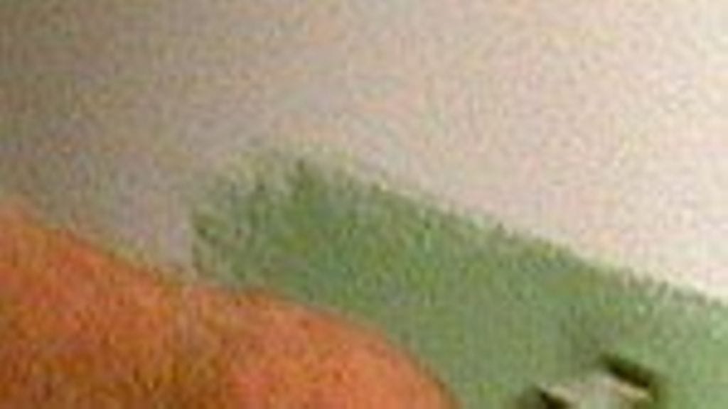 rasian ympärys