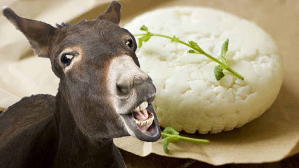 Pule-juusto valmistetaan aasinmaidosta