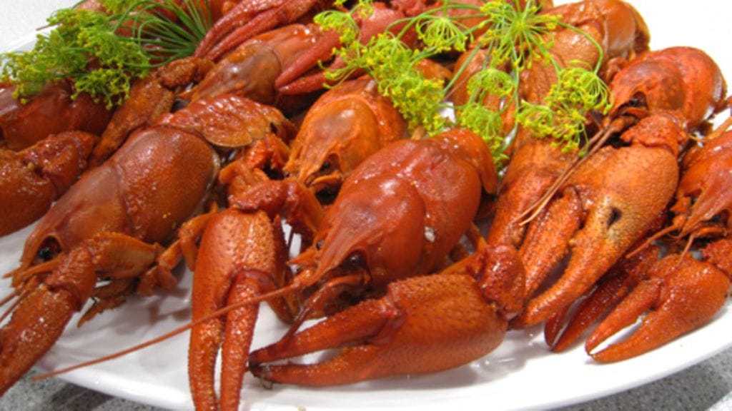 Ravut pitää keittää hyvin. Kuva: Lehtikuva.