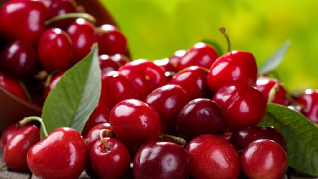 Kirsikoilla on monia terveysvaikutuksia.