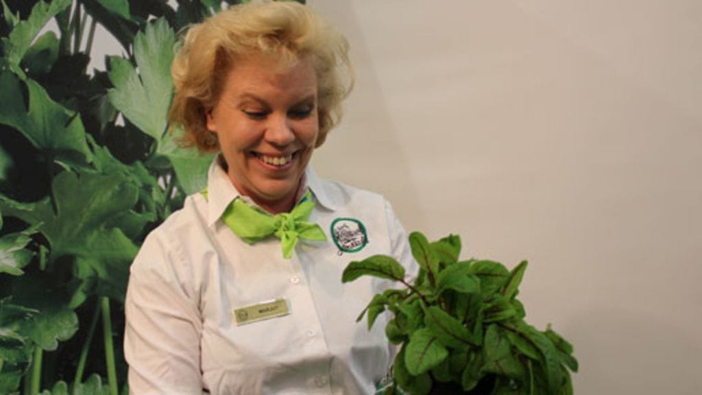 Yrttien terveysvaikutukset piilevät niiden varsissa, paljastaa yrttiekspertti Marjut Suomalainen