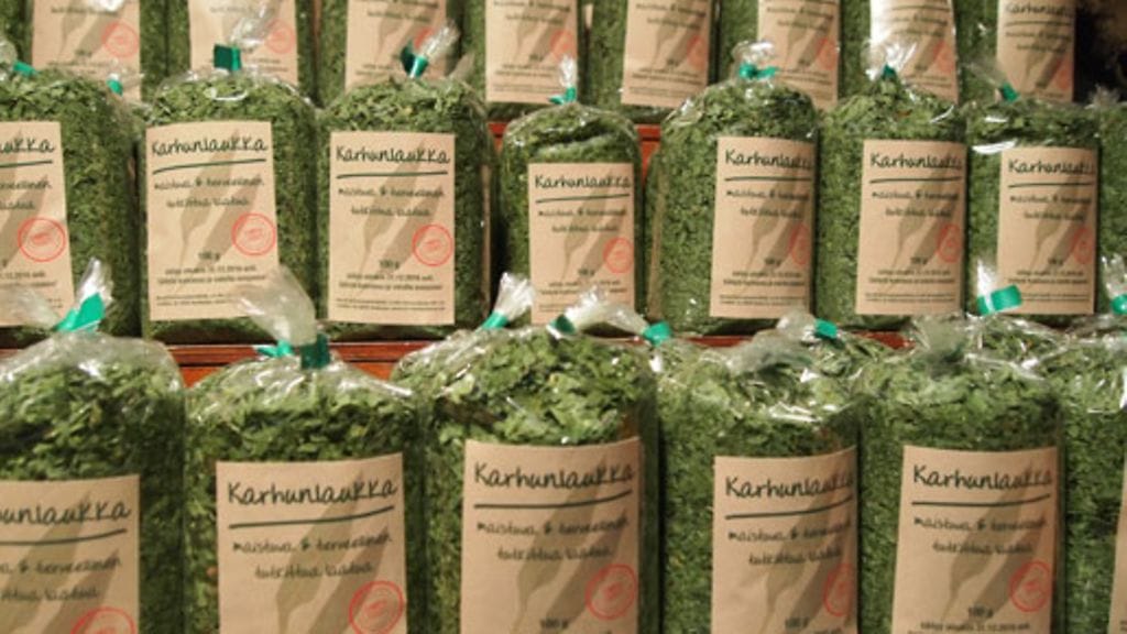 Kuivattua karhunlaukkaa Viini, ruoka & hyvä elämä -messuilla lokakuussa 2012