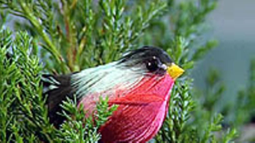 t.i.l.a osa 33, 7.12.2003