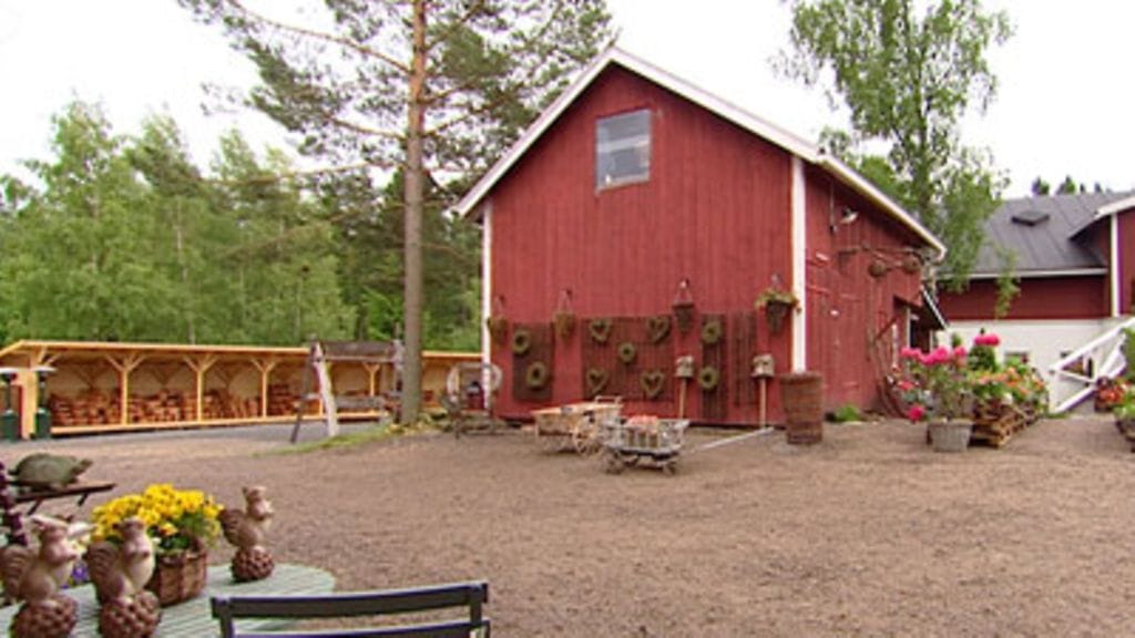 Kesä T.i.l.a. 4.8.2008