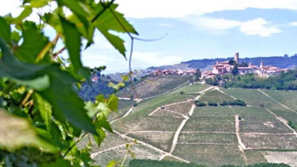 Viiniviljelmiä Piemontessa