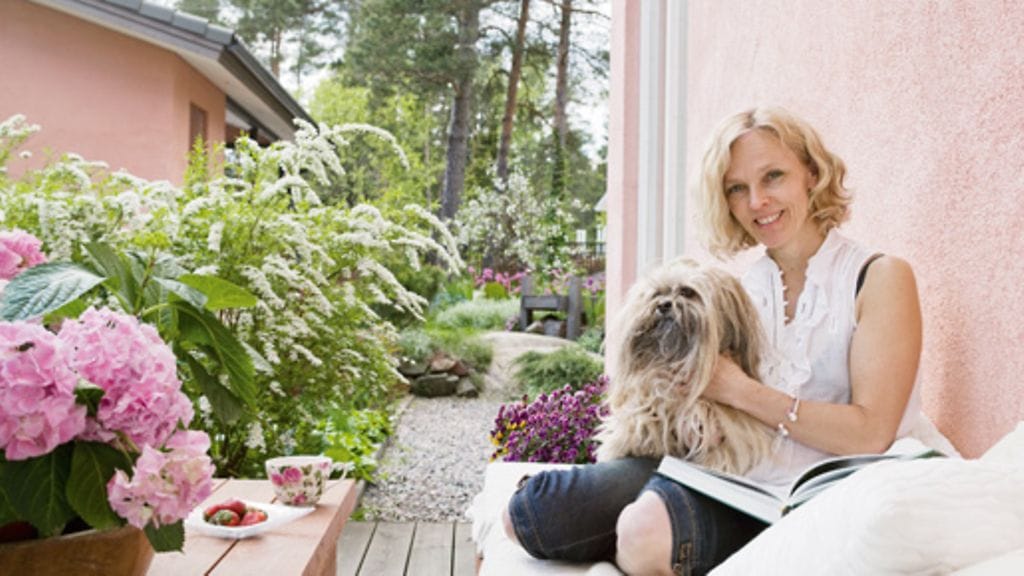 Heidi ja Riitu nautiskelevat patiolla, jota reunustavat norjanangervopensaat. Pöydällä kukkivat Heidin talvehdittamat hortensiat.