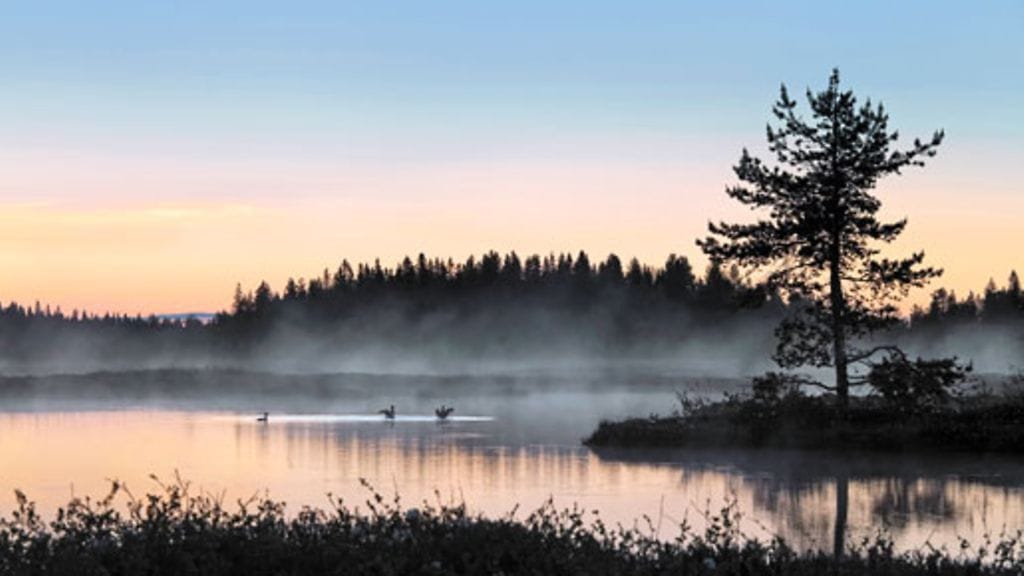Maalaa sohvan taustaseinä puuteribeigellä. Se on hyvä vaihtoehto maalarinvalkoiselle.