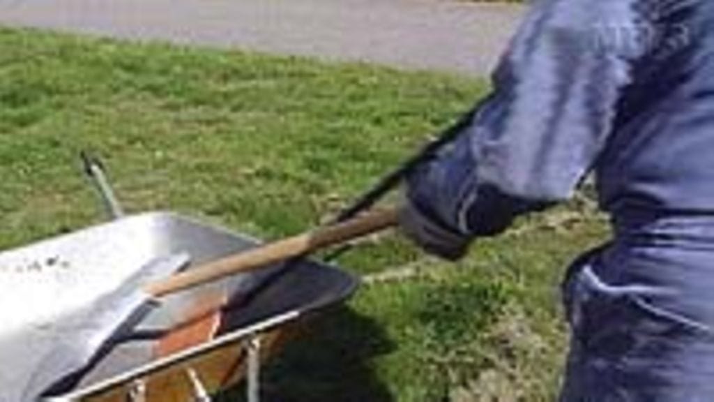 Puutarhan taistelupari