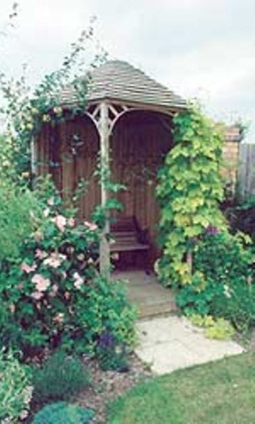 kuva kirjasta Pienessä puutarhassa