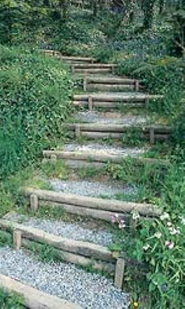 kuva kirjasta Pienessä puutarhassa