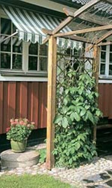 kuva kirjasta Pienessä puutarhassa