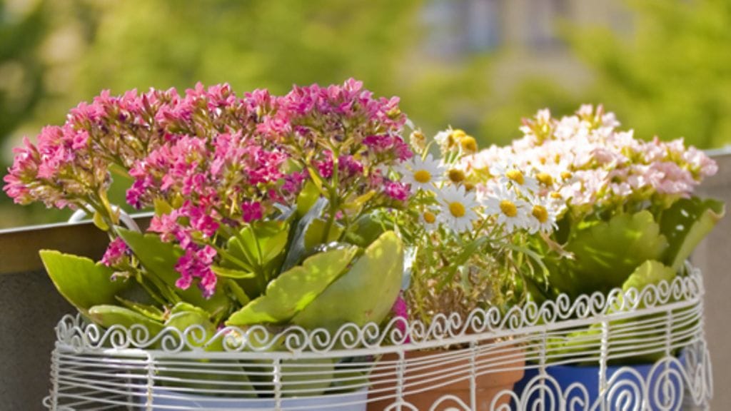 Kukkakorit ja -ruukut ovat käytännöllisiä pienellä parvekkeella.