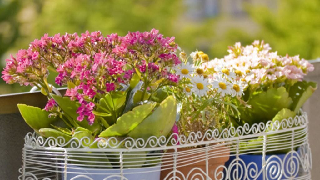 Kukkakorit ja -ruukut eivät vie paljon tilaa.