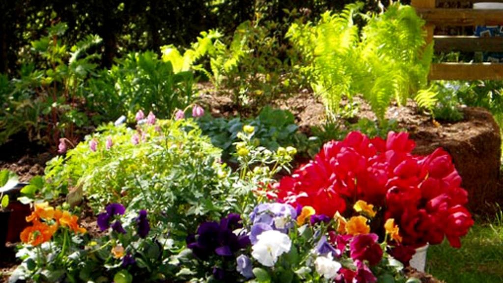 Kukkapenkki, kuva: Riina Mäentausta