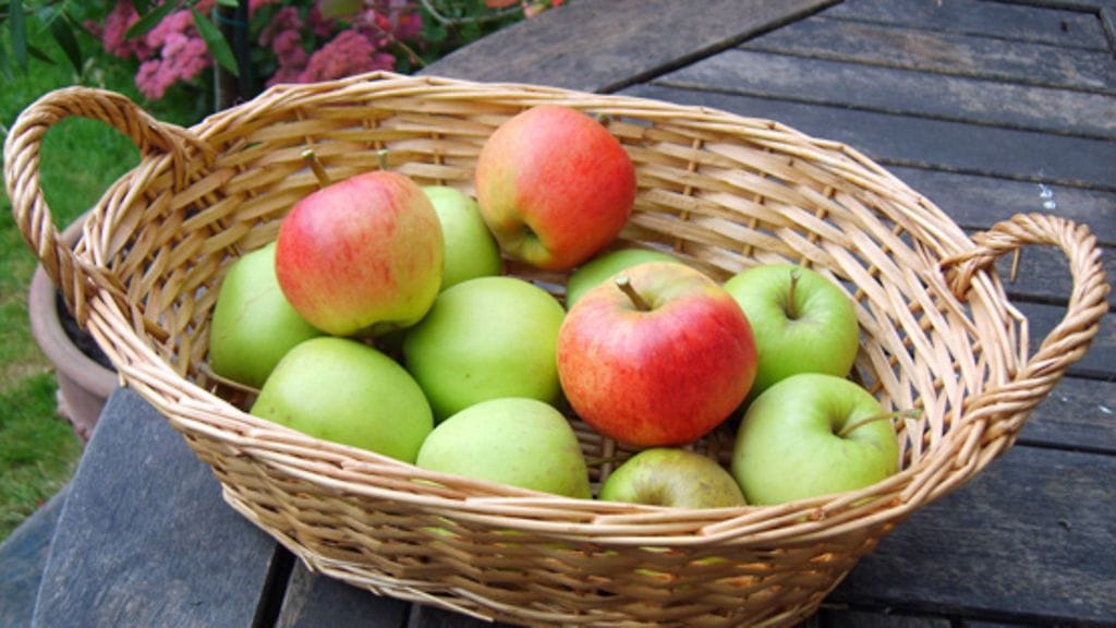 Omenat ovat sadonkorjuujuhlien pääosassa. (SXC)