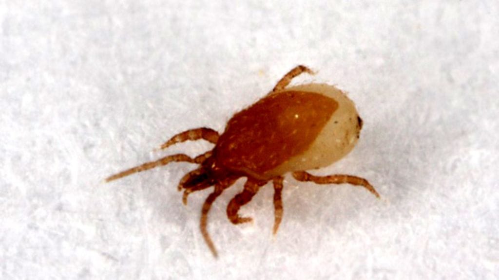 Kuva: Jarmo Holopainen