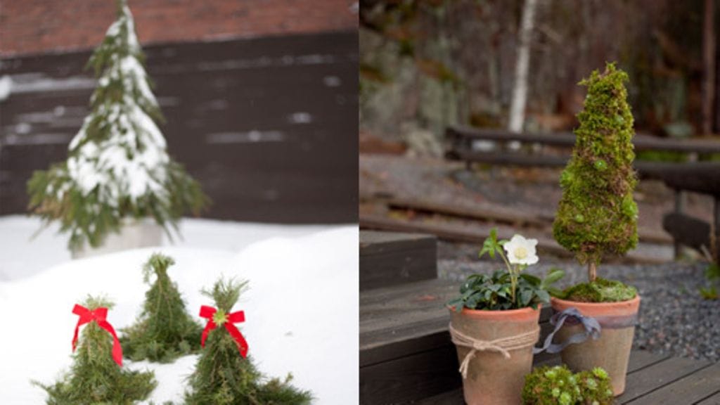 Miss Flower, Noora Qvick