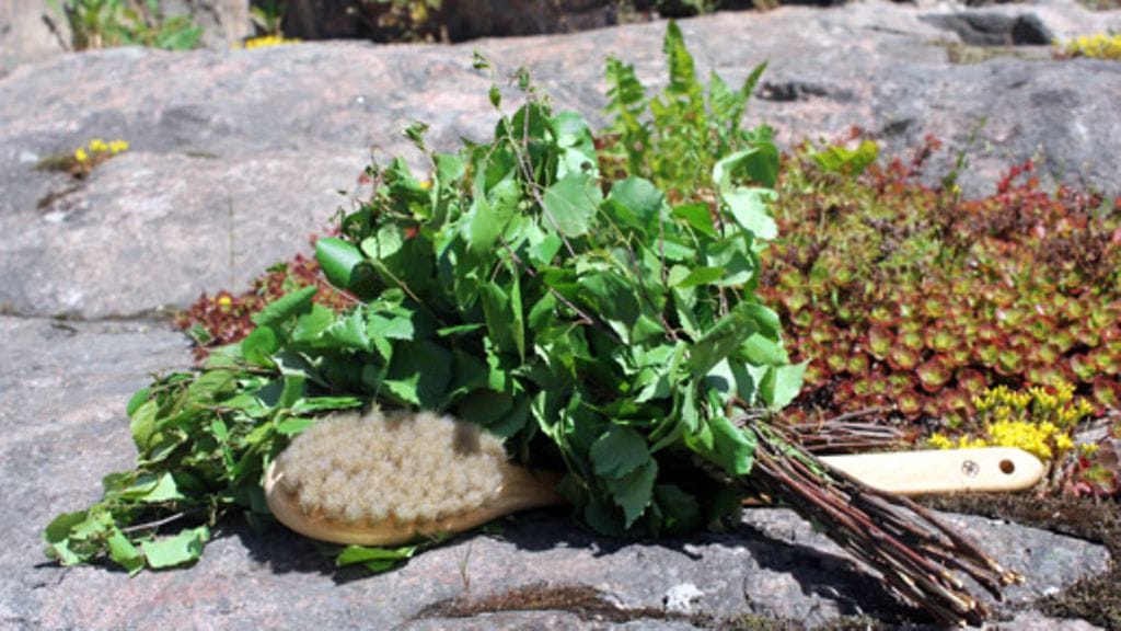 Perinteiseen koivuvihtaan voi lisätä myös muita kasveja. Kuvan vihdat ja senioriharja Hyväntekijästä.