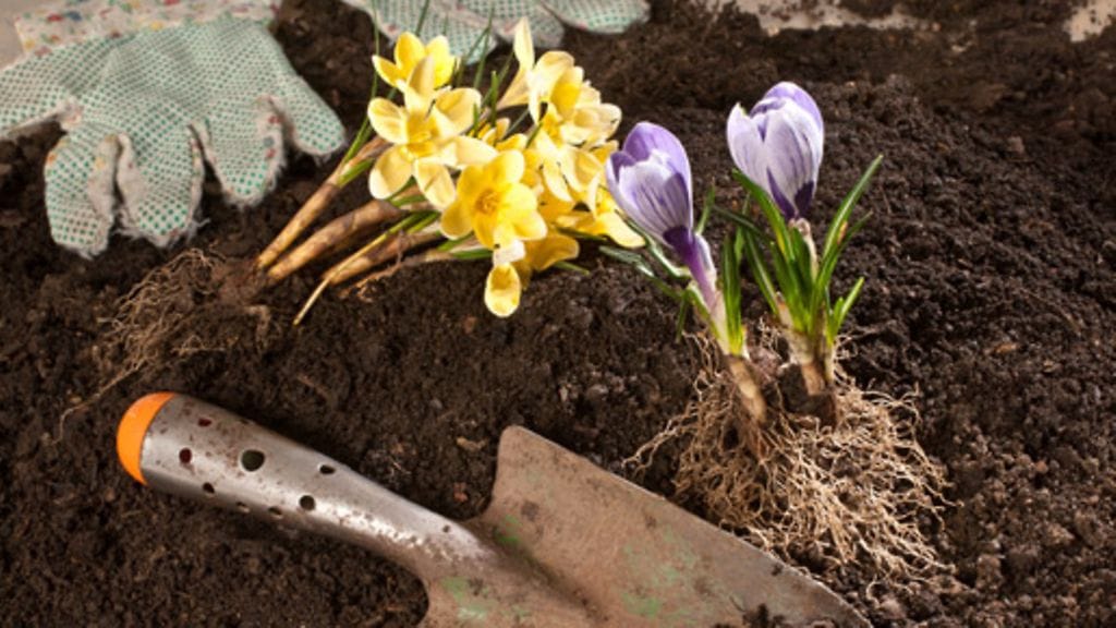 Puutarhahommat ovat jokakeväinen innostuksen - tai harmituksen - aihe.