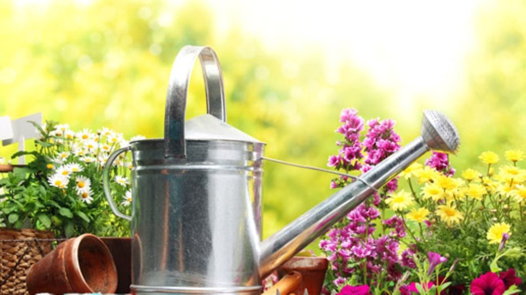 Himoitsetko sormiesi multaamista, mutta et omista omaa pihaa? Kaupunkirenki on sivua varten!