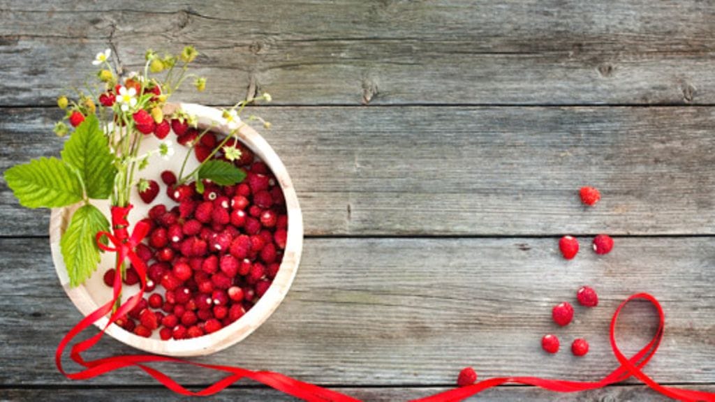 Metsämansikan tunnistaa moni, mutta miten on muiden luonnosta löytyvien syötävien laita?